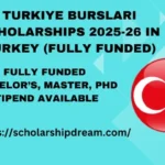 Turkiye Burslari Scholarships in 2025